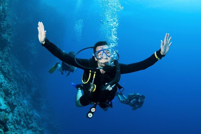 Scuba Diving From Dalyan - Guided Dives for All Skill Levels