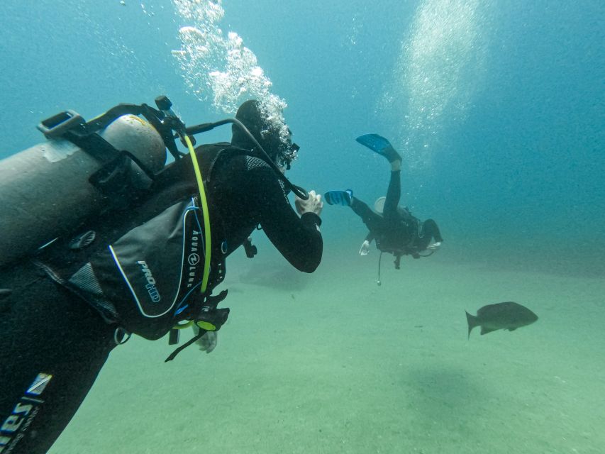 Scuba Diving in a National Marine Park of Cabo Pulmo - Frequently Asked Questions