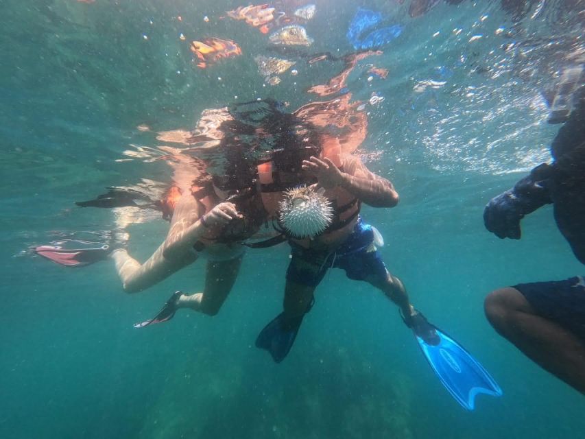 Scuba Diving in Acapulco for Begginers - Suitability and Restrictions