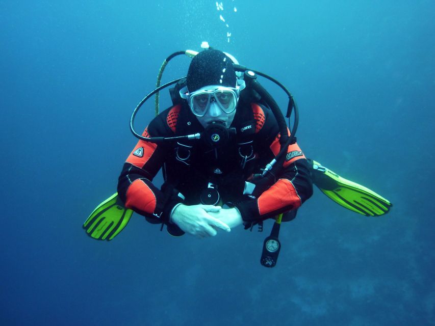 Scuba Diving in Aci Castello - Breathtaking Underwater Landscapes