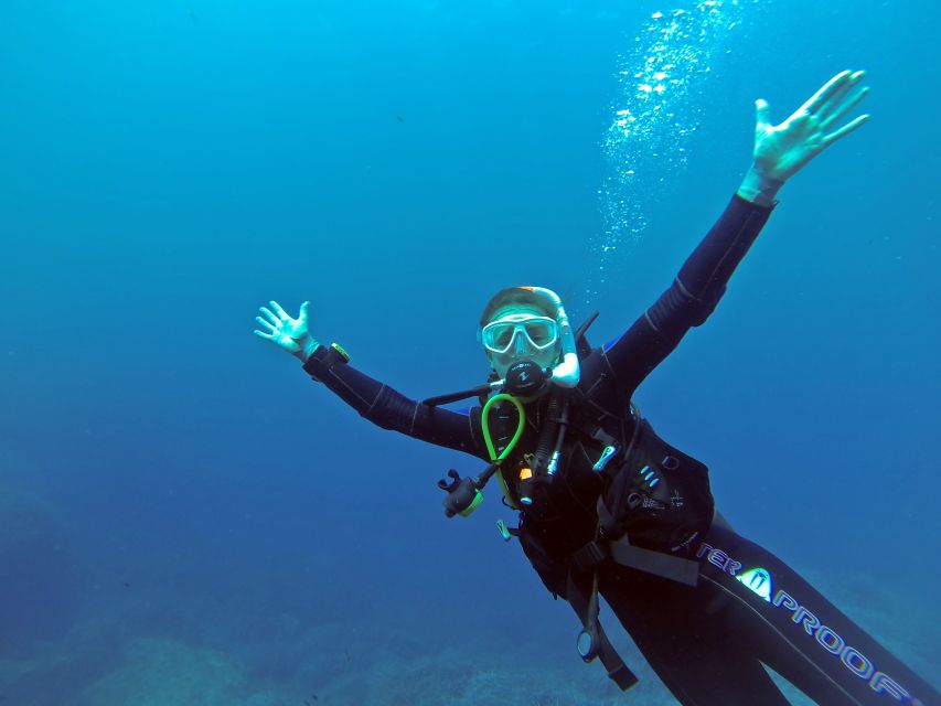 Scuba Diving in Aci Castello - Booking and Pricing