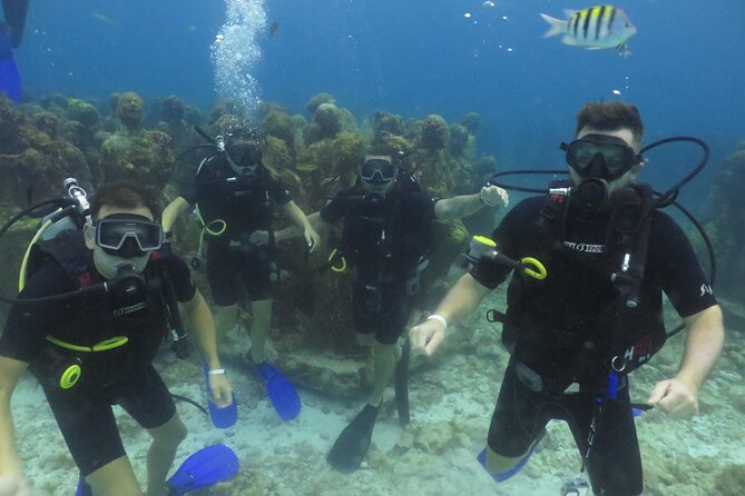 Scuba Diving in Cancun FREE Photos/Videos Beginners Welcomed! - Safety and Professional Guides
