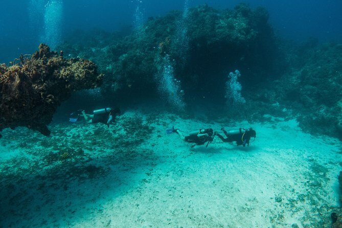 Scuba Diving in Cozumel Island - How This Tour Fits Different Travelers