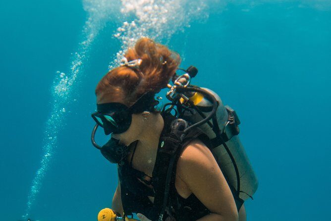 Scuba Diving in Cozumel Island - Frequently Asked Questions