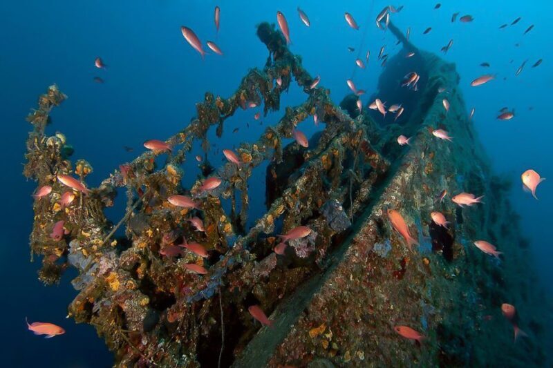 Scuba Diving in Dubrovnik: 1 Dive for Certified Divers - Key Points