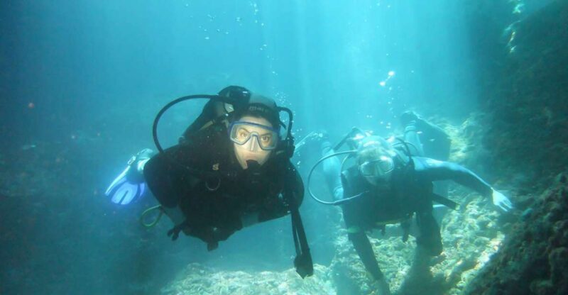 Scuba Diving in Dubrovnik: 1 Dive for Certified Divers - The Marine Environment: What Youll Likely See