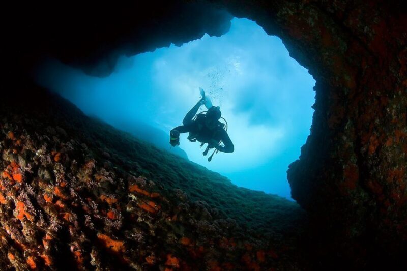 Scuba Diving in Dubrovnik: 1 Dive for Certified Divers - Pricing and Value