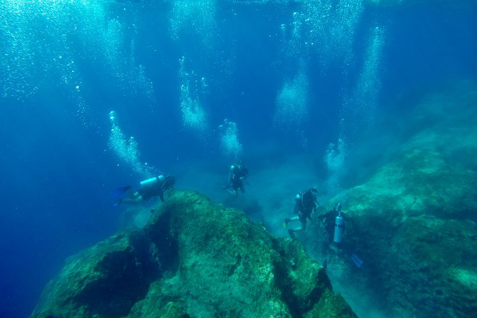 Scuba Diving in Kas for Certified Divers Incl. All Equipments - Diving Equipment and Services