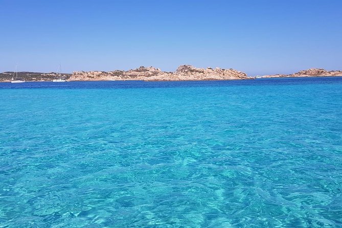 Scuba Diving in La Maddalena and Lavezzi Marine Protected Areas. - Review Highlights