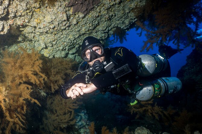 Scuba Diving Multi Dives in Playa De La Americas - Eligibility and Restrictions