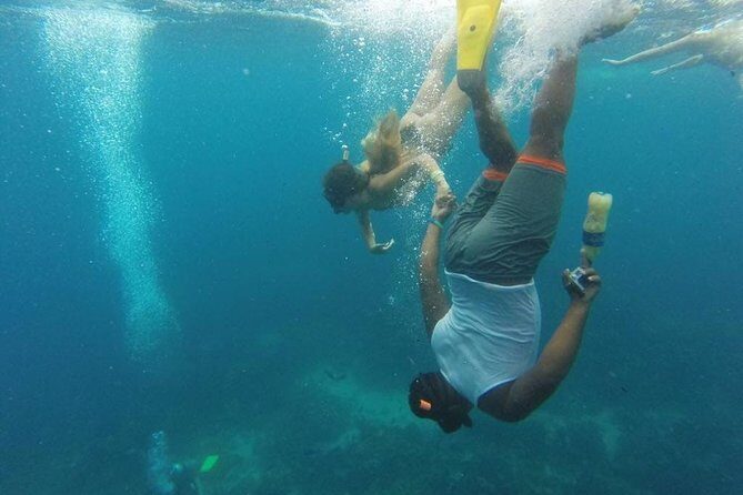 Scuba Diving on Catalina Island | 2 tanks, 2 spots - The value for money and reviews