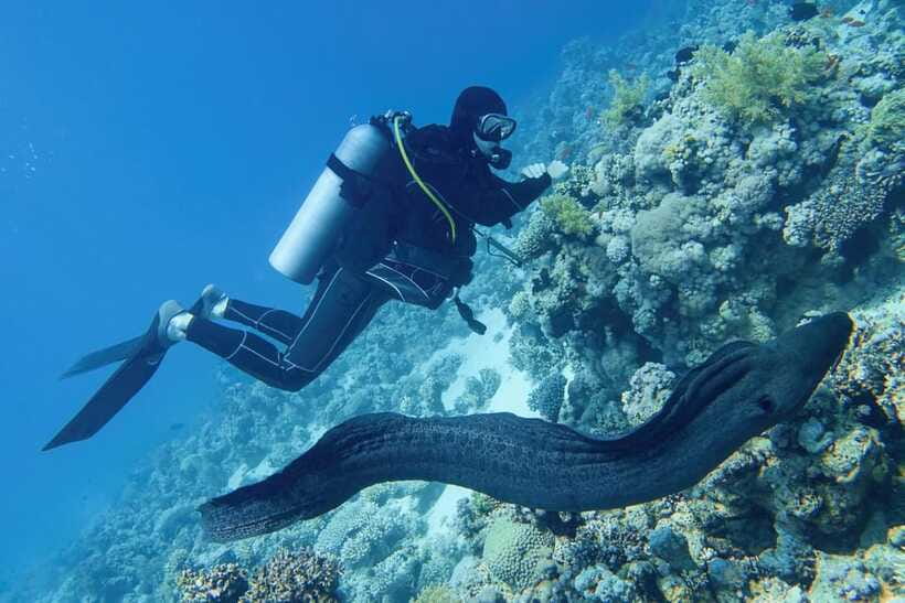 Scuba Diving Refresher(3 Dives) - Scuba Diving Equipment and Inclusions