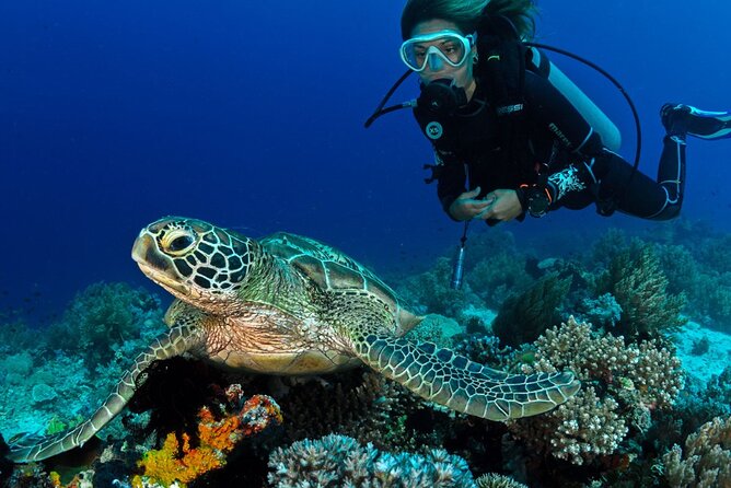 Scuba Diving to Dimaniyat Islands Muscat Oman - Good To Know