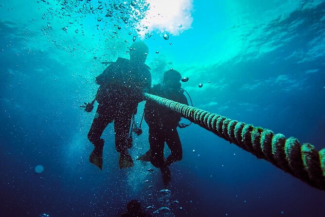 Scuba Diving to Dimaniyat Islands Muscat Oman - Dive Options Available