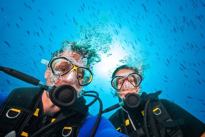 Scuba Diving to Dimaniyat Islands Muscat Oman - Customer Reviews