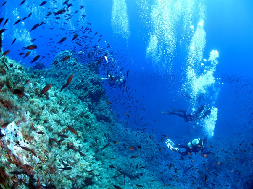Scuba Diving to the Aeolian Islands From Milazzo - Key Points