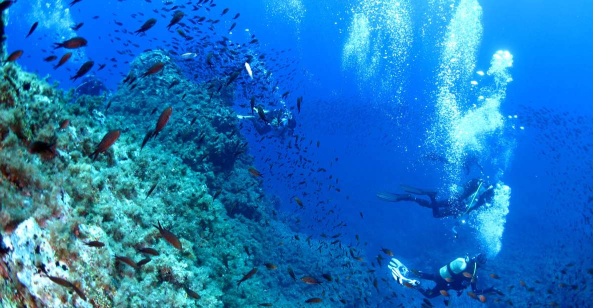 Scuba Diving to the Aeolian Islands From Milazzo - Scuba Diving Tour Details