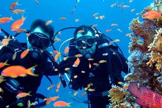 Scuba Diving Tour - Customization Options