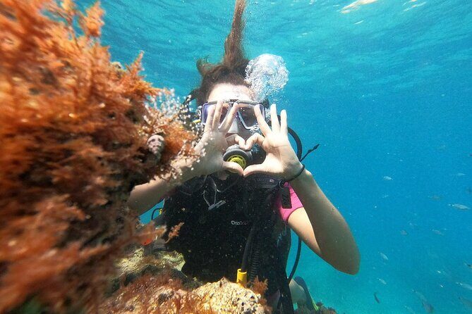 Scuba Diving Tour With Lunch in Alanya - The Sum Up: Worth Considering for a Memorable Underwater Day