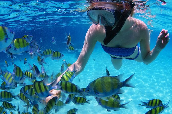 Scuba Diving Trip: Diving, Transfers, and Lunch - Hurghada - Health and Safety Measures