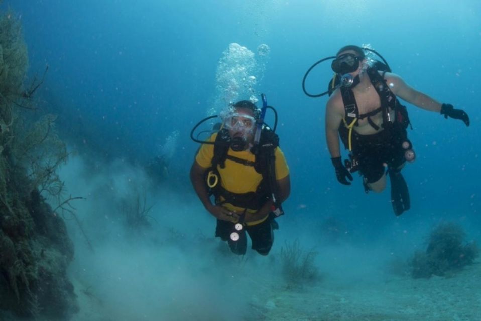 Scuba Diving Tulum Beginners: Explore the Underwater World - Exploring the Cenote Underwater