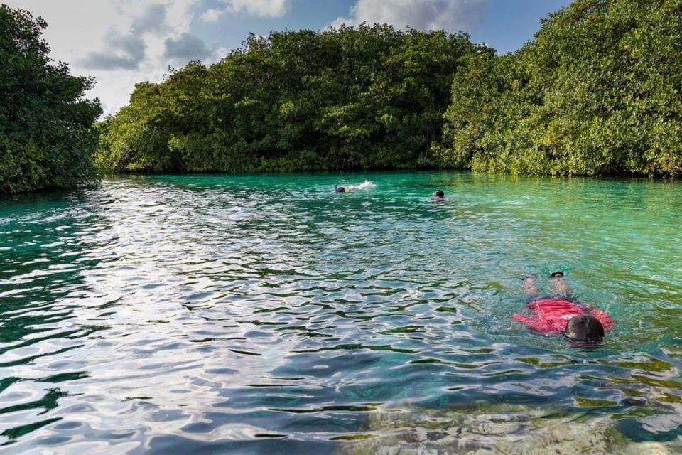 Scuba Diving Tulum Beginners: Explore the Underwater World - Transportation and Pickup Service