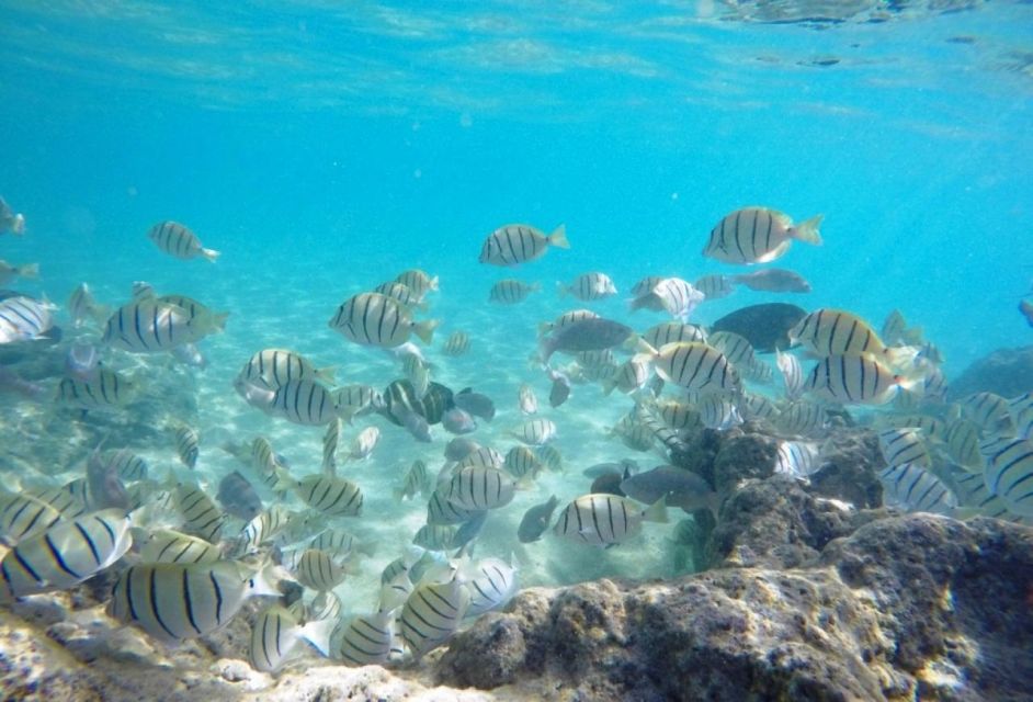 Scuba Diving Tulum Beginners: Explore the Underwater World - Frequently Asked Questions