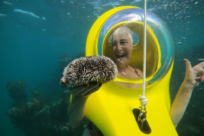 Scuba Doo in Punta Cana with Snorkelling Equipment - Authentic Experiences and Honest Reviews