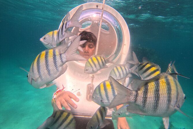 Scuba Doo in Punta Cana with Snorkelling Equipment - The Sum Up