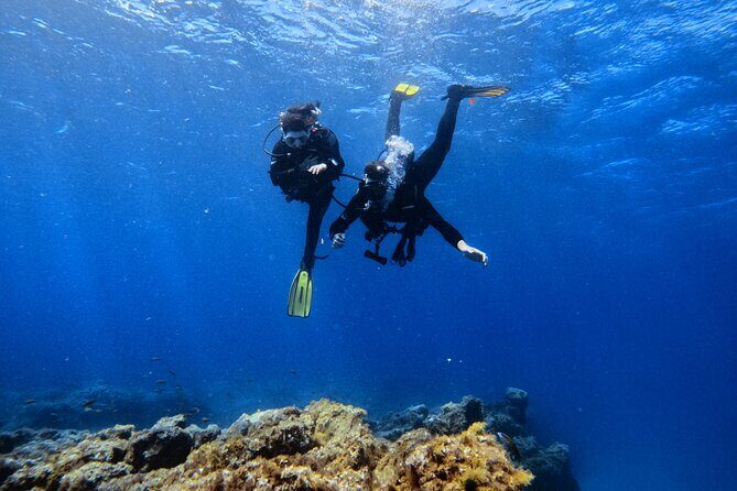 Scuba Experience in Tenerife with Guide - An In-Depth Look at the Tenerife Scuba Experience