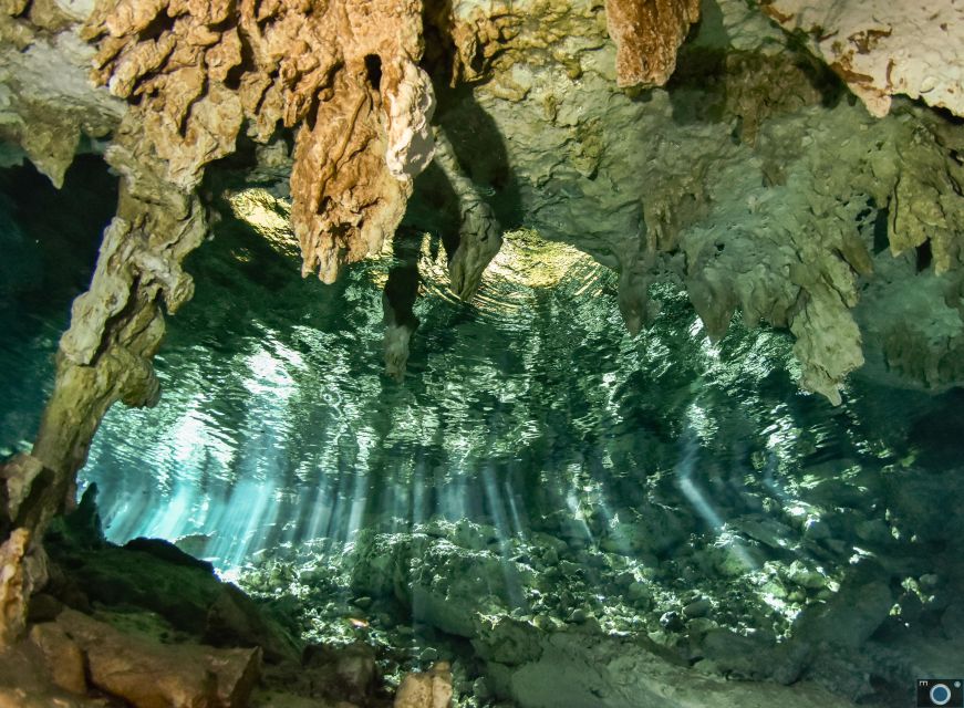 Scuba in 2 Cenotes in a Half-Day - Included in the Experience