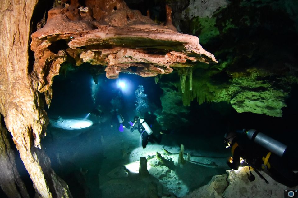 Scuba in 2 Cenotes in a Half-Day - Requirements and Restrictions