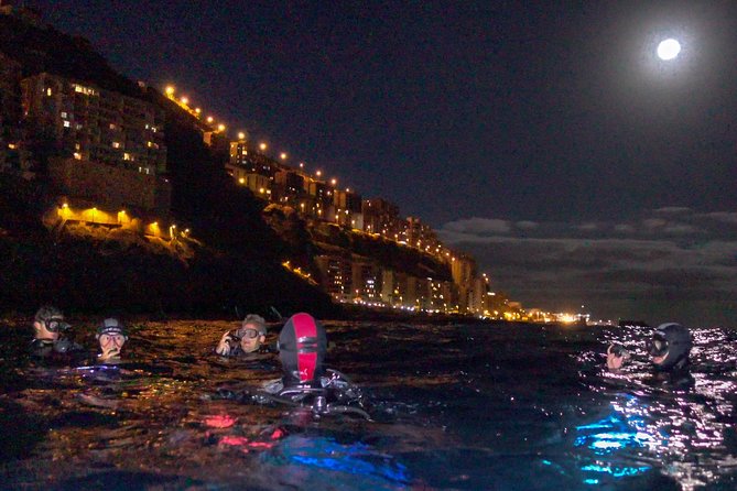 Scuba Night Dive on Tenerife With SCUBANANA - Good To Know