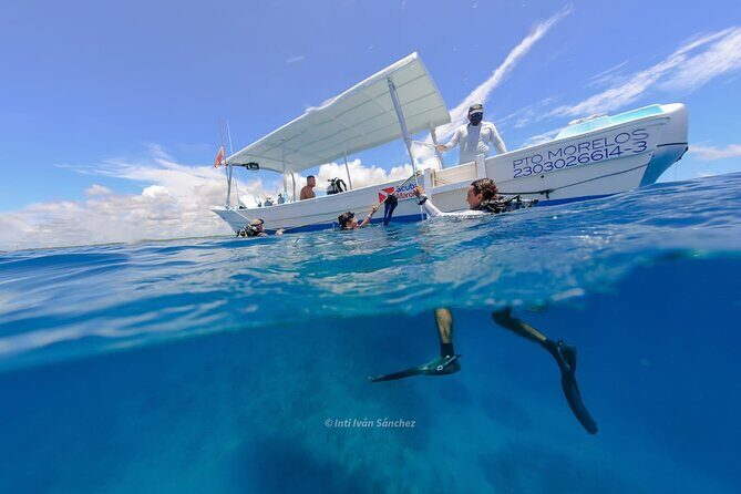 Scuba Referral Dives & Beach Club with Transportation In Riviera Maya - What Travelers Are Saying