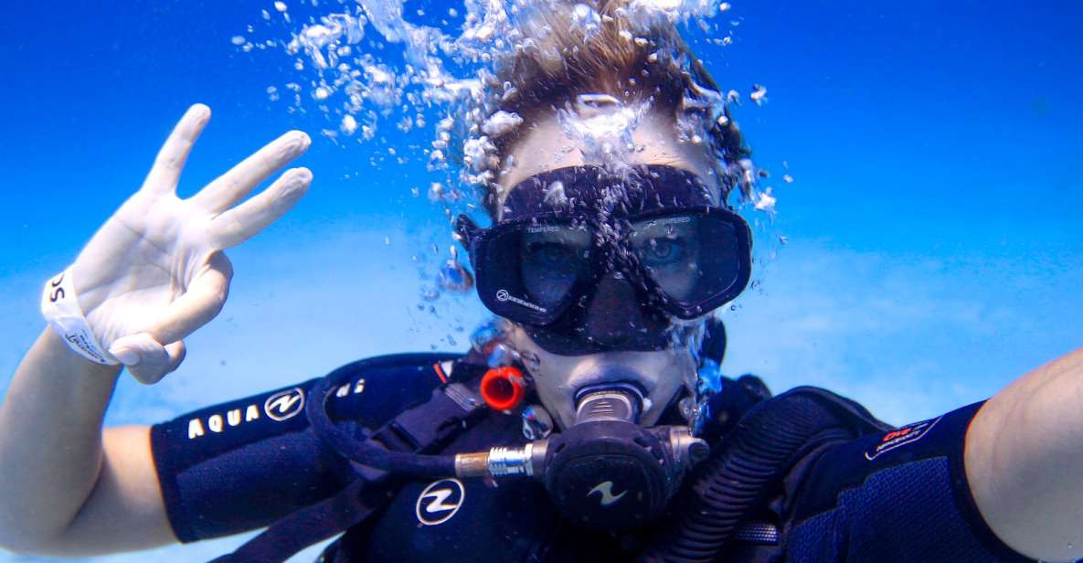 Scuba Revival: 1 Immersion in Maroma Beach - Personalized Staff Attention