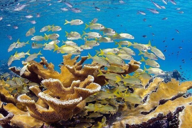 ScubaDoo From Punta Cana - Final Thoughts