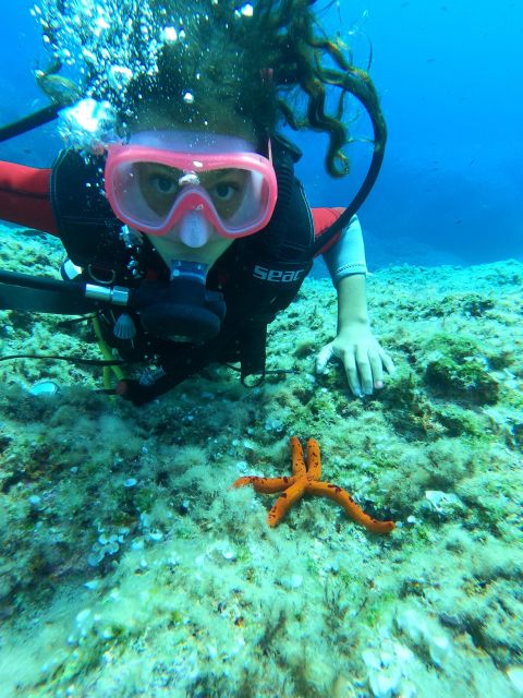 Sea Baptism in Milazzo - Highlights of the Dive
