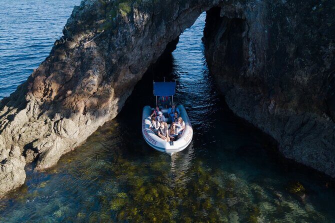 Sea Cave Adventures in the Coromandel - The Sum Up: Why This Tour Is a Great Choice
