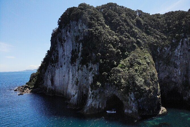 Sea Cave Adventures in the Coromandel - Frequently Asked Questions