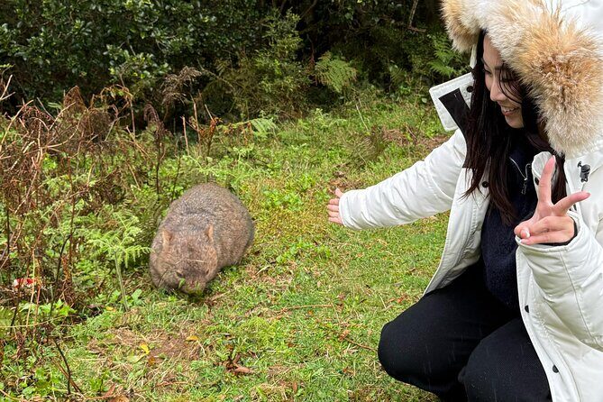 Sea Cliff Bridge, Kiama Blowhole, Beaches & Wildlife Small Group - An In-Depth Look at the Tour