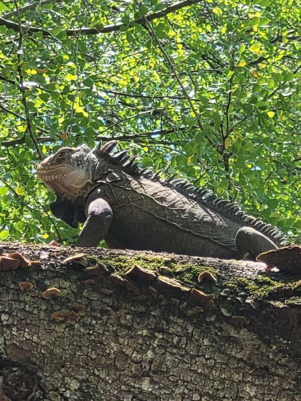 Sea excursion - Key Points