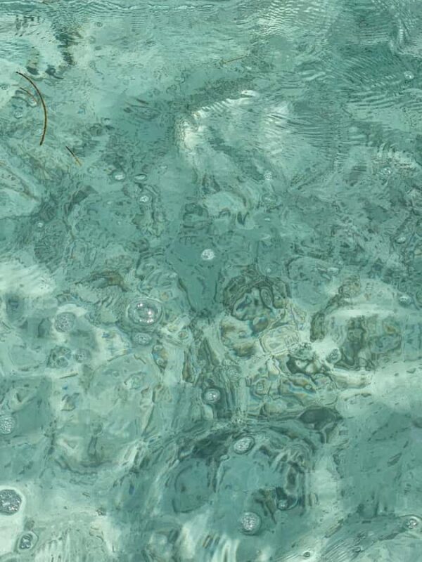 Sea excursion - An In-Depth Look at the Tour Itinerary and What You Can Expect