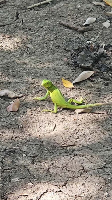 Sea excursion - Practical Tips for Making the Most of Your Tour