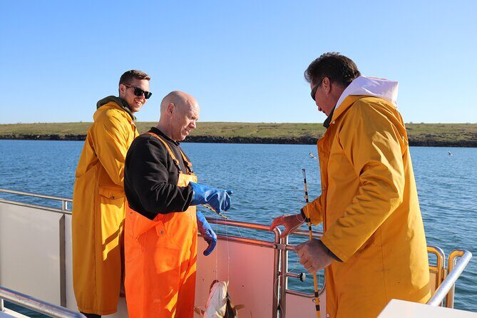 Sea Fishing Experience from Reykjavik - The Itinerary and What to Expect