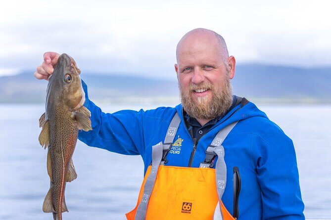 Sea Fishing Experience from Reykjavik - Who Will Love This Tour?