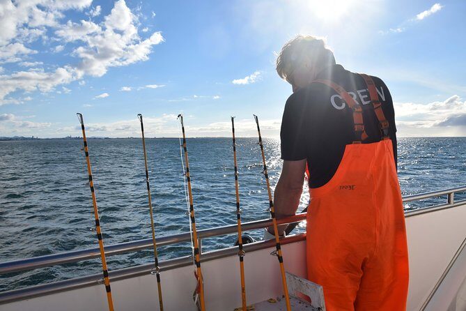 Sea Fishing Experience from Reykjavik - Final Thoughts