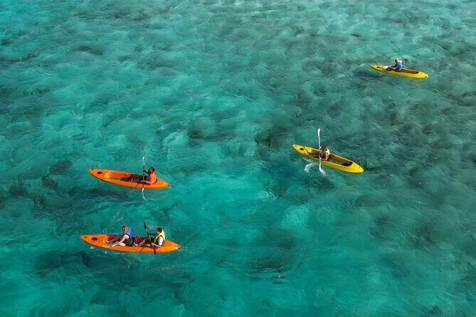 Sea Glass Island and Clear Kayak Adventure - Key Points