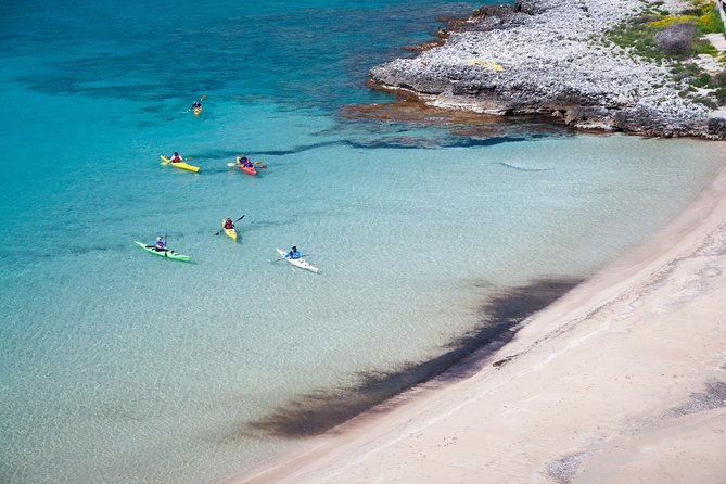 Sea Kayak in Kardamili - Ratings and Feedback