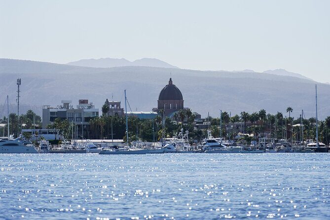 Sea Kayak Tour Mangrove Safari - Starting Point and Overall Setting