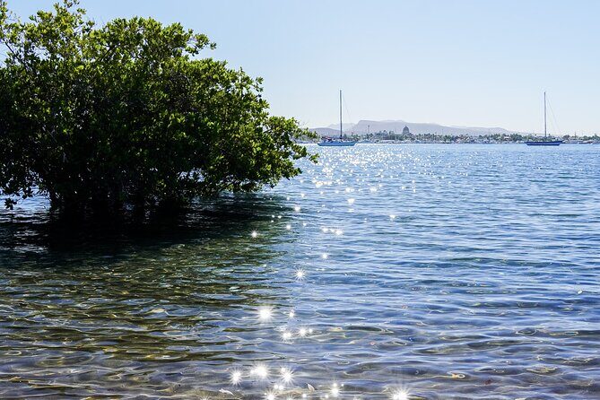 Sea Kayak Tour Mangrove Safari - Final Thoughts